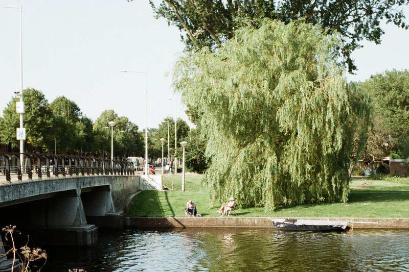 The image is a split composition showing two different scenes. On the left side, it captures a serene waterfront scene featuring a bridge with people