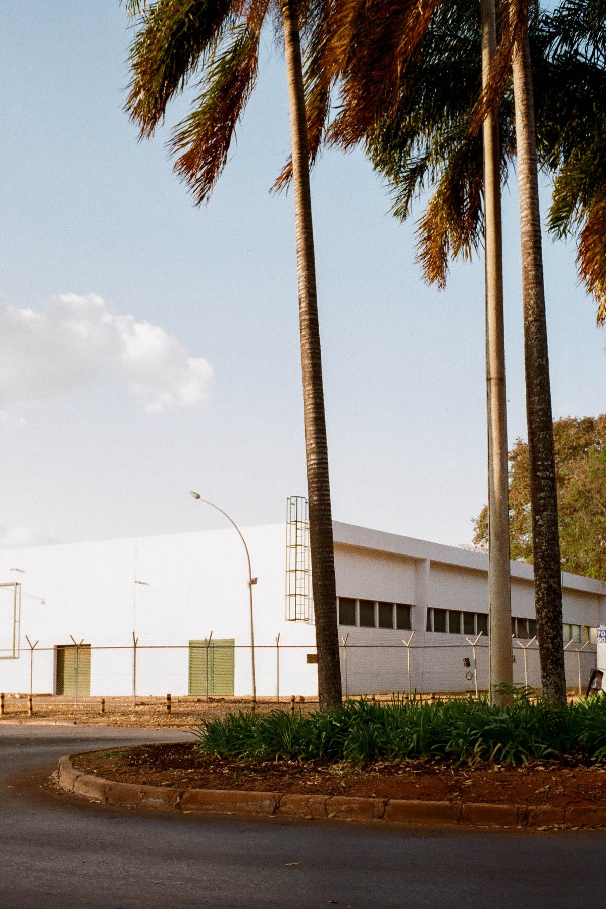 The photo shows a serene tropical scene. In the foreground stands a group of palm trees swaying gently, their long fronds reaching upwards towards the