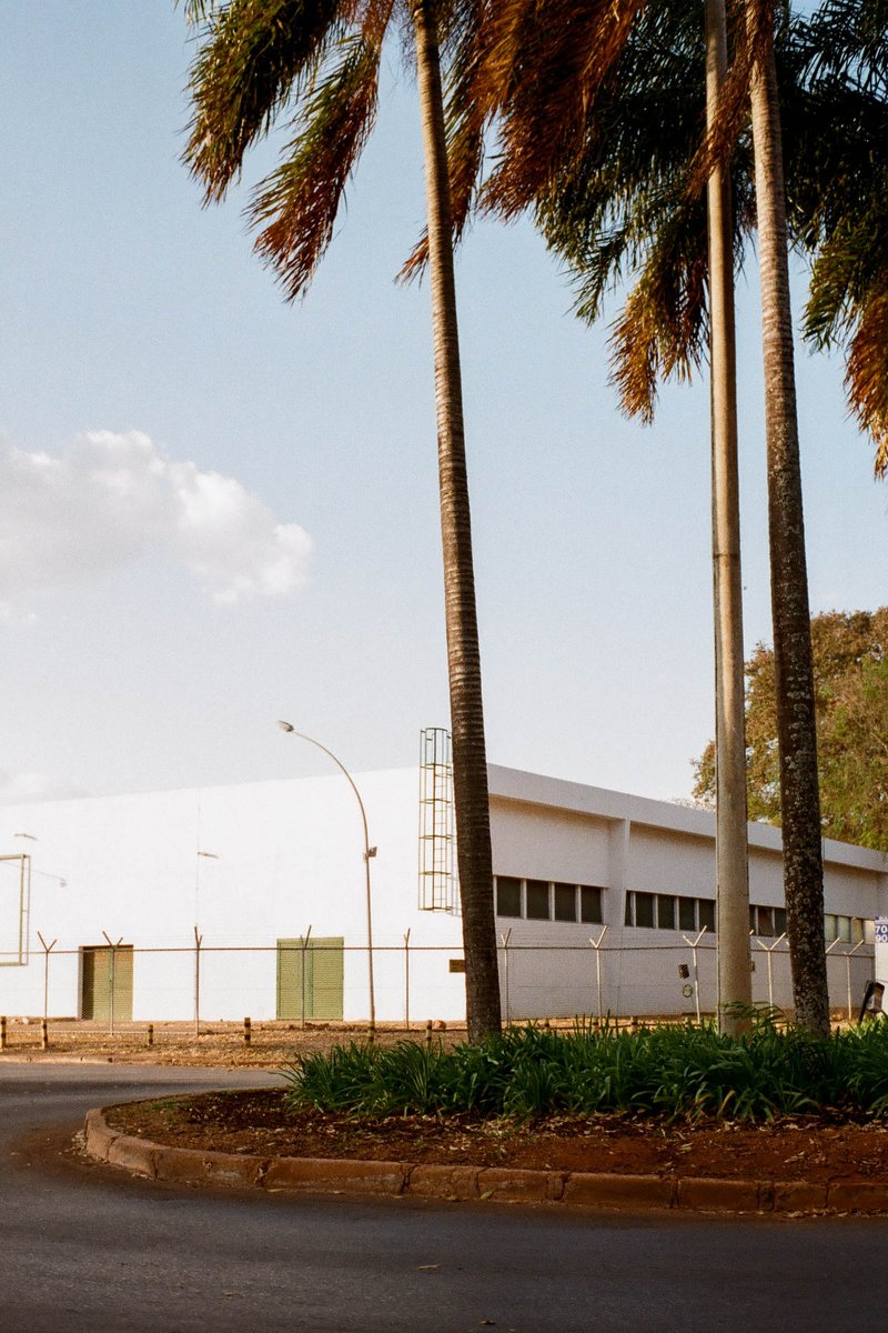 The photo shows a serene tropical scene. In the foreground stands a group of palm trees swaying gently, their long fronds reaching upwards towards the