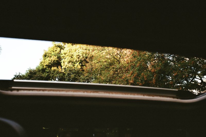 A tranquil image captures a serene scene through the window of a car. The viewer's gaze is drawn to a lush tree with vibrant orange leaves, standing m