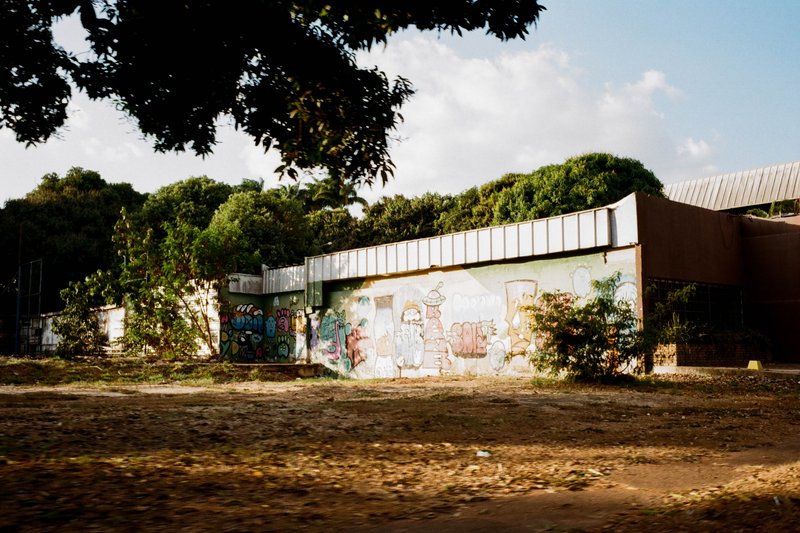 The image showcases a sunlit day in a bustling city park. A large building, characterized by its graffiti-covered facade and a prominent red roof, sta