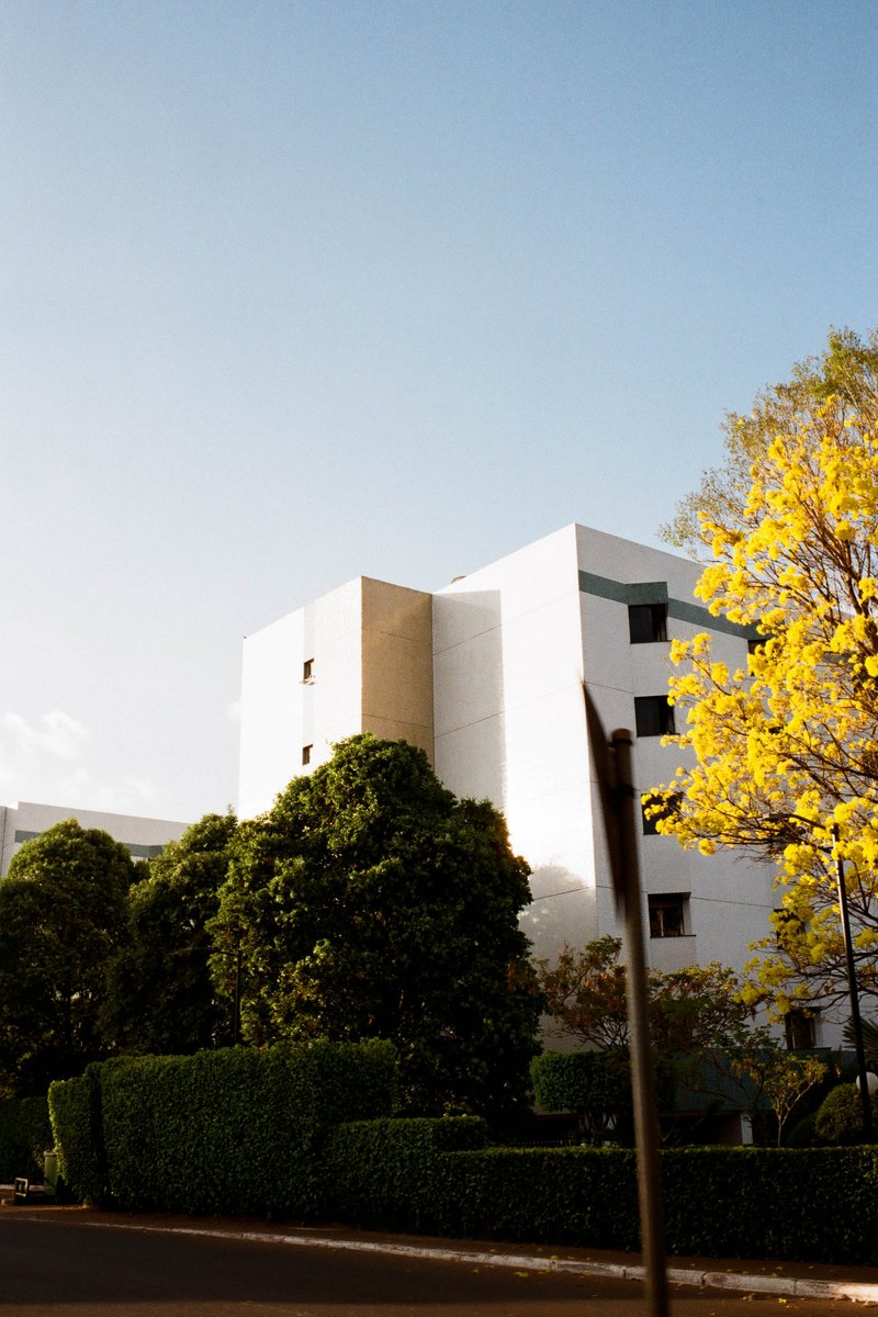 The photo depicts a modern two-story building with a flat roof. It is set against a clear blue sky. In the foreground, there are trees and bushes that