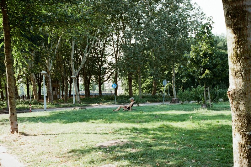 A person sits on a grassy area within a lush park filled with verdant trees. The park is tranquil, with clear skies visible above. The person appears