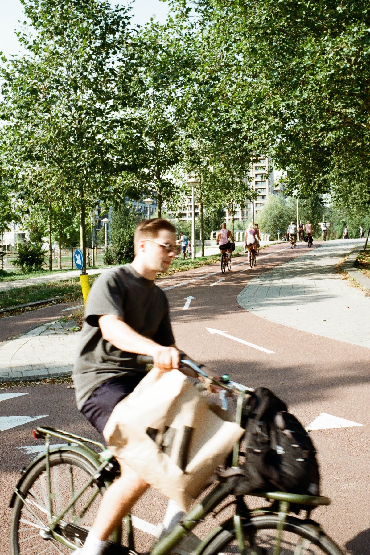 Man on bicycle with bags. City street with people walking. Trees lining the roadway. Sunny day.