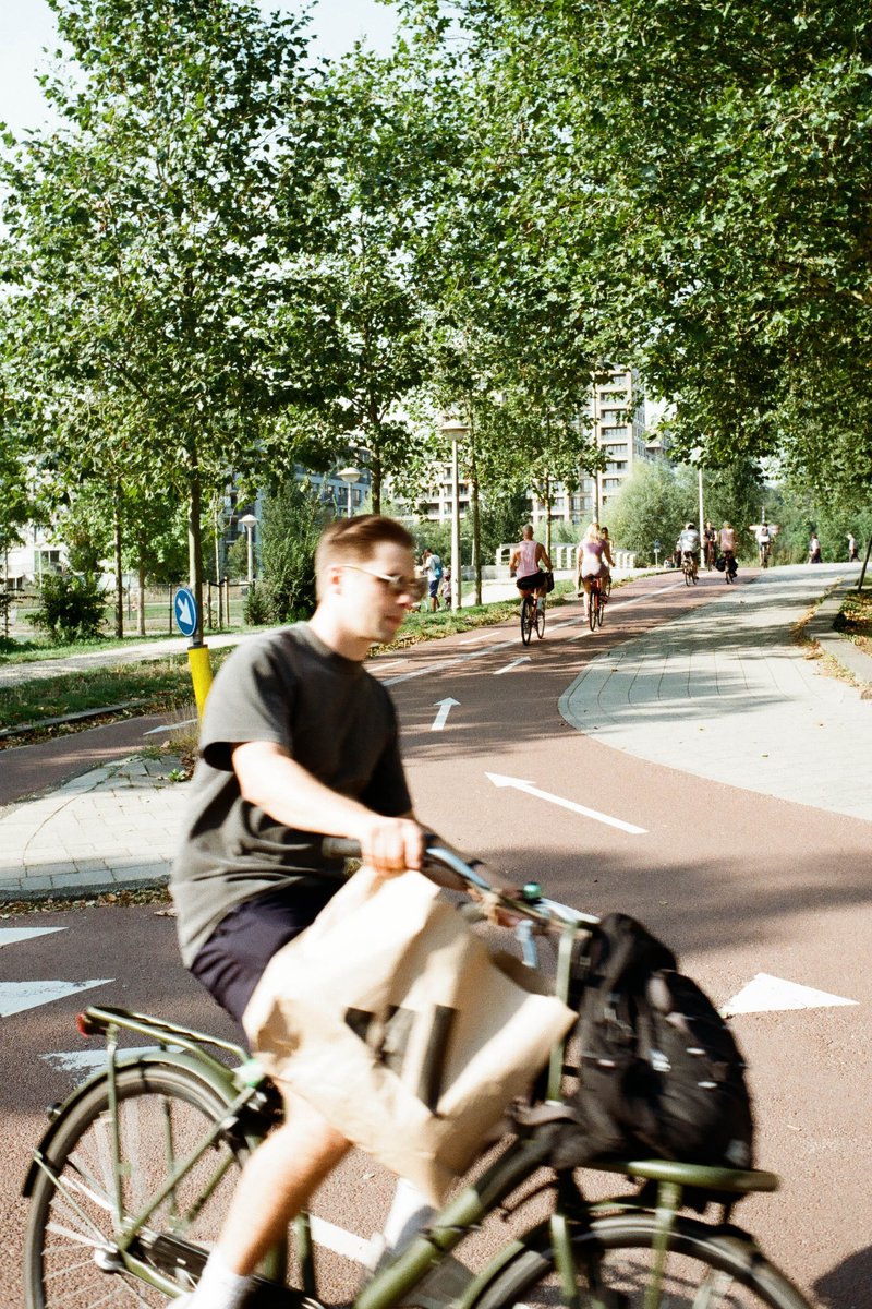 Man on bicycle with bags. City street with people walking. Trees lining the roadway. Sunny day.
