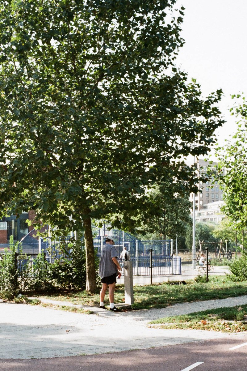 A city park with a man standing on the sidewalk next to a tall green tree. The park is bordered by a concrete path and a paved road. The man is near a