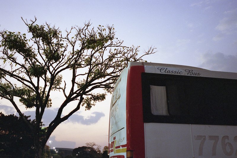 The image features a large passenger bus parked at sunset. The bus is red and white with some visible text reading "Classic Bus." It's under a clear s