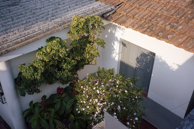 This image captures a charming scene of a quaint house nestled amidst lush greenery. The house, adorned with a wooden roof and white walls, stands out