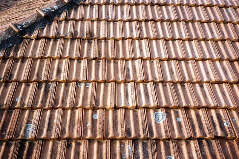 This image showcases the roof of a building. It's covered with terra cotta tiles that are arranged in rows. The roof appears to be weathered, suggesti