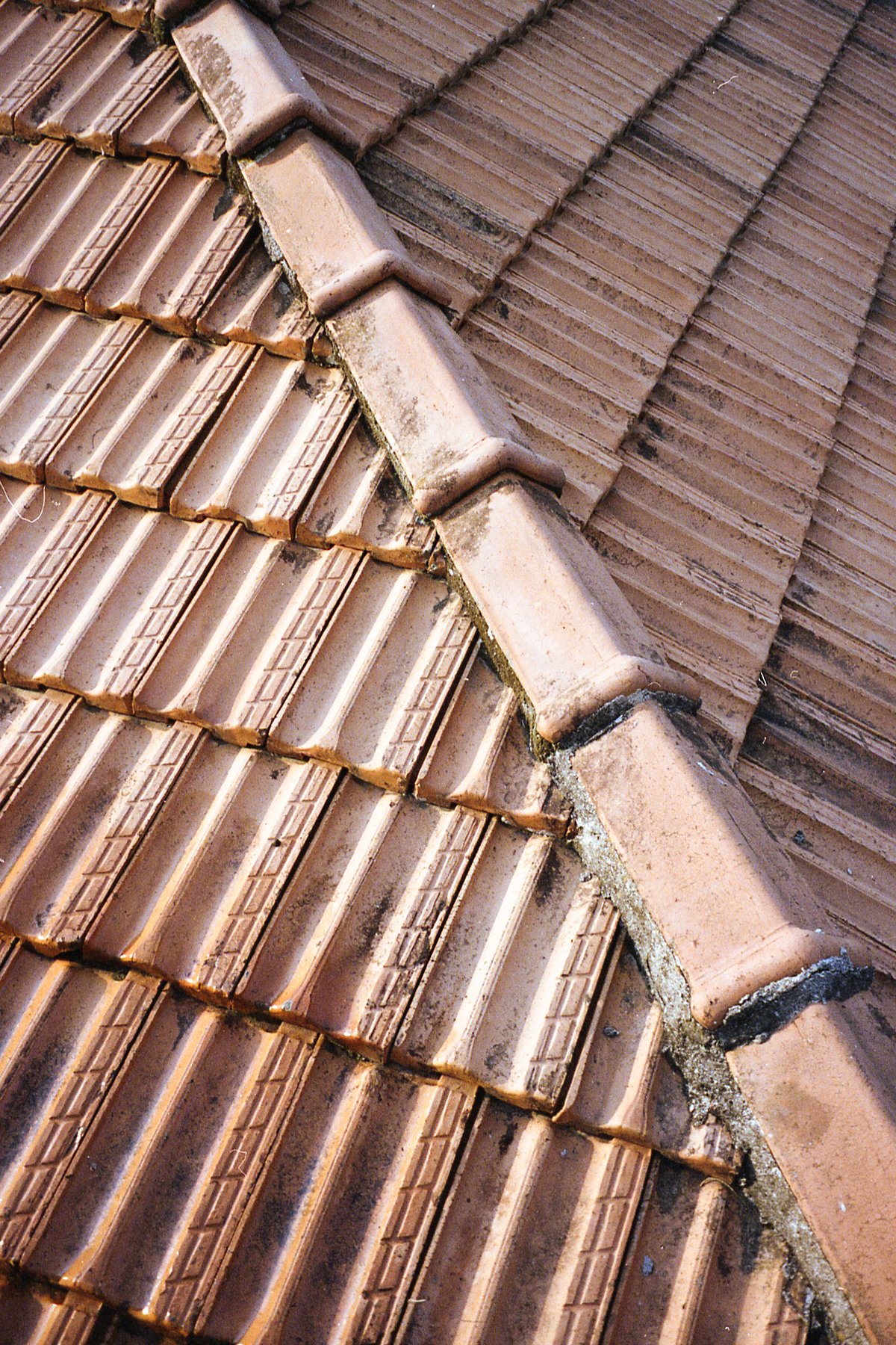The image showcases a close-up view of an old, weathered tiled roof. The tiles appear to be terra cotta in color and exhibit signs of age such as disc