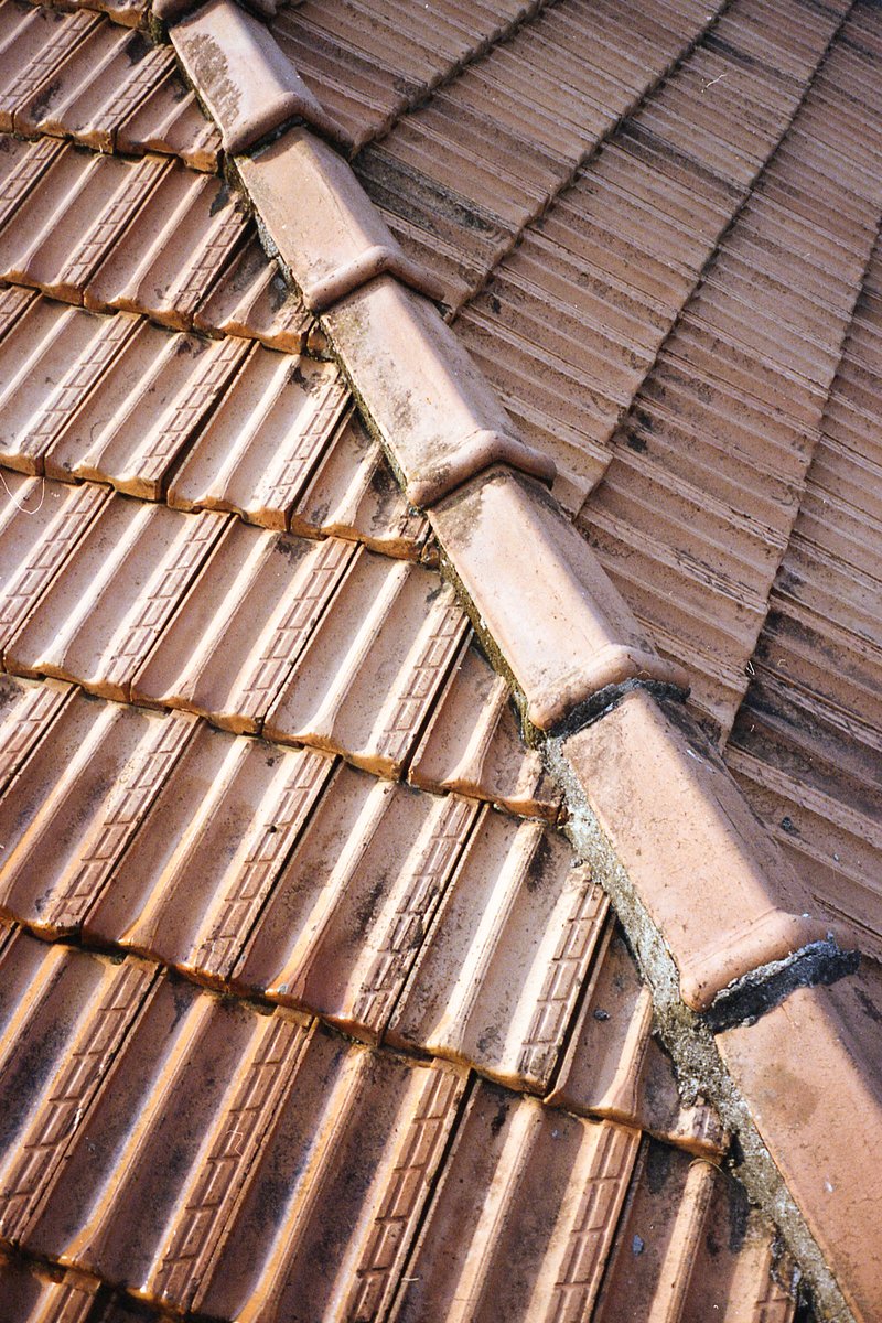 The image showcases a close-up view of an old, weathered tiled roof. The tiles appear to be terra cotta in color and exhibit signs of age such as disc