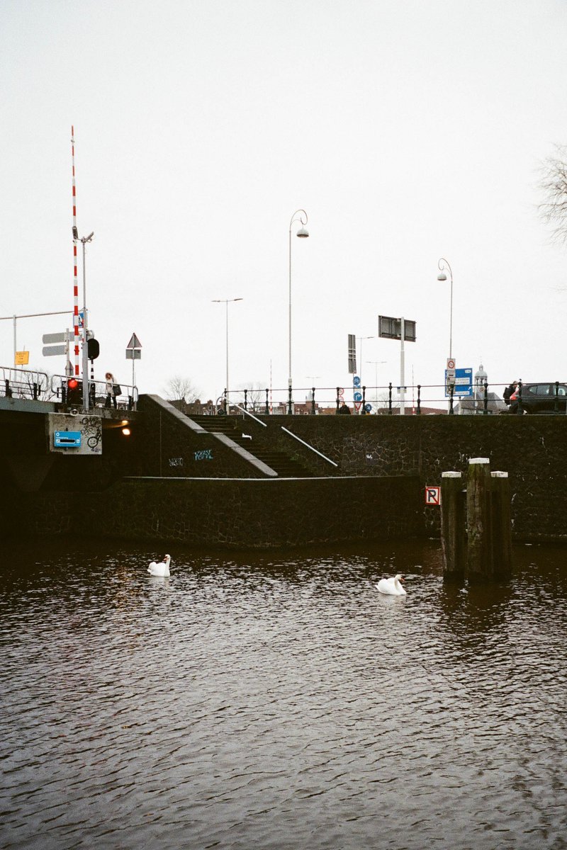 The image depicts a body of water with a black and white railing, providing safety along its edge. On this railing, there's a person standing. Behind the water, partially obscured by it, is a road where cars are passing by. There are also pedestrians visible on the roadway. The sky above is overcast, suggesting an overcast day.