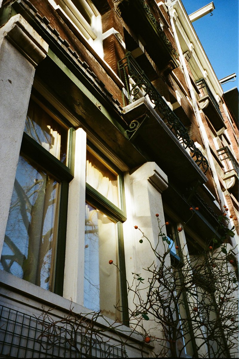 The image depicts an urban scene featuring a tall building with balconies and large windows. The building appears to have an ornate facade, suggesting it may be older or designed in a historic style. There is a plant growing on the balcony, adding a touch of greenery to the concrete structure. In front of the building, there's a sidewalk lined with various plants, and a tree can also be seen to the left side of the image. The sky above is blue, indicating clear weather.
