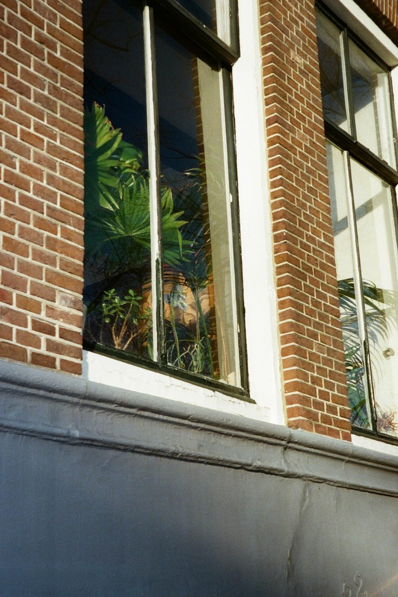 This is an image of a building with a large window displaying numerous potted plants. The window is made up of many panes, giving it an old-fashioned appearance. The plants are lush and varied, adding a vibrant touch to the otherwise simple architecture. The building appears to be constructed from brick, and the window sills are adorned with some sort of decorative elements or objects that are not identifiable in this description. The window is situated on a corner of the building, and there is an overhang visible at the bottom of the image.