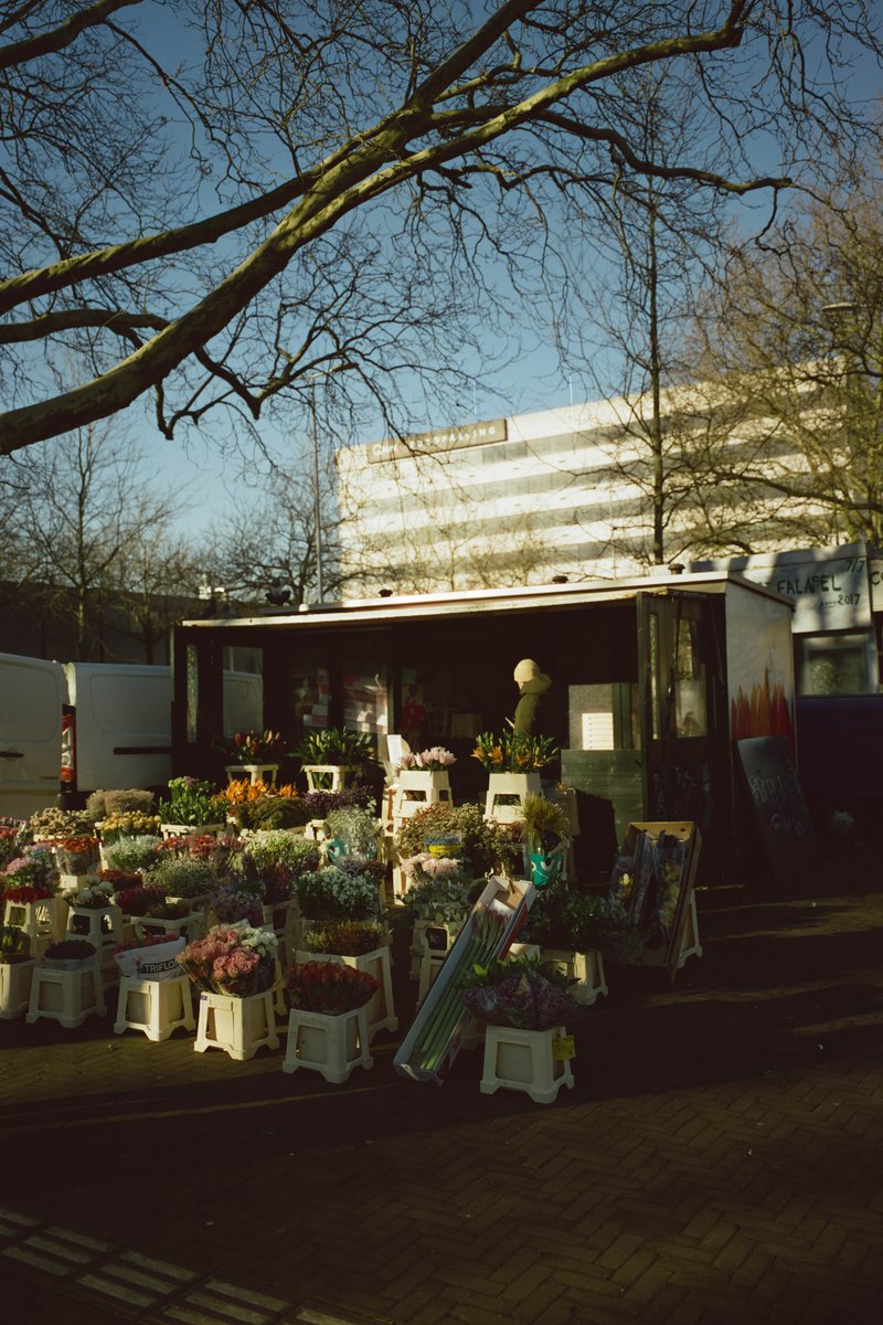 The image depicts a vibrant outdoor market scene. There is a large building with white walls and a black roof in the background, which serves as a backdrop for various items like potted plants and flowers on display. In front of the building, there are multiple tables covered with colorful flower arrangements. A truck can be seen parked to the side of this area. The sky is clear blue, suggesting it's daytime, and the overall atmosphere appears lively and bustling.