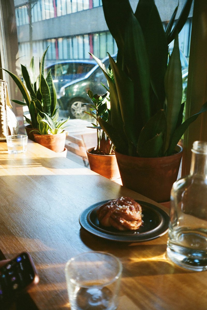 The image shows an indoor scene with various potted plants providing a lush greenery backdrop. In the foreground, there is a dining table with some items on it such as a bottle, bowl, and a partially eaten snack. A person is present in the background, possibly attending to something. Natural light illuminates the room through windows, creating a warm atmosphere.