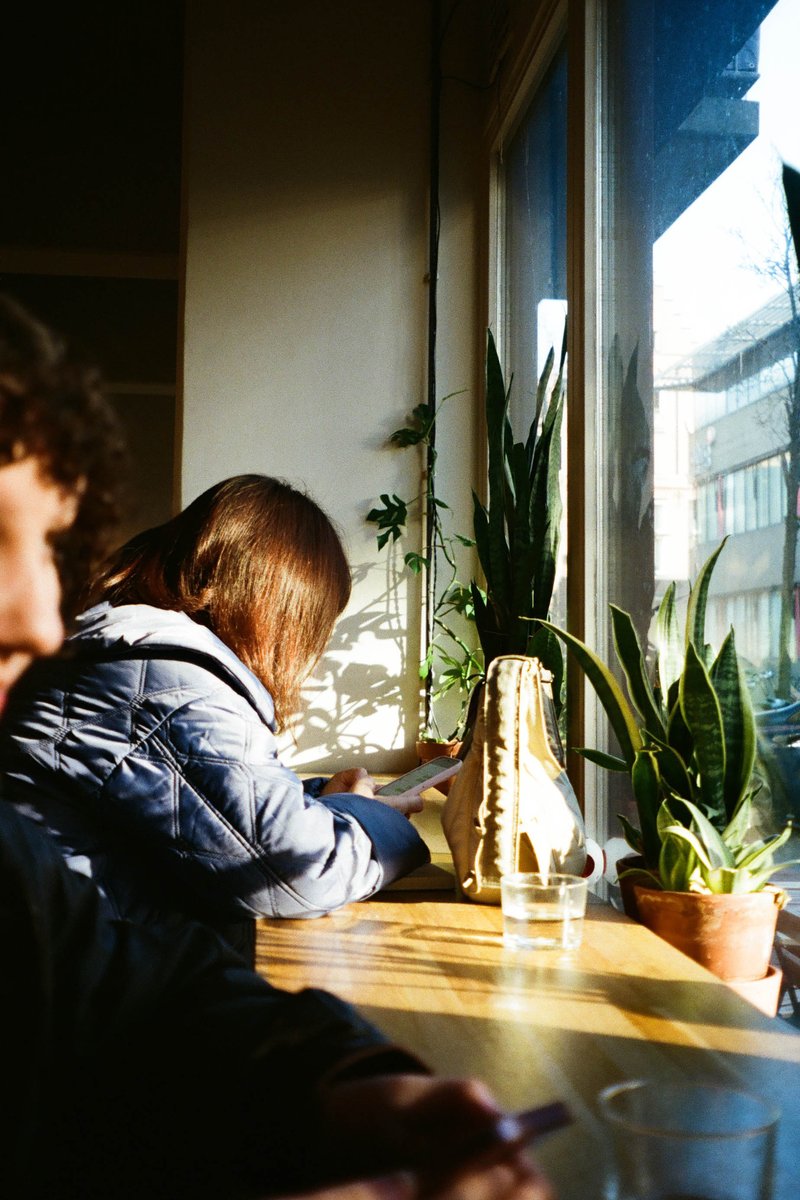 In the image, there's a man sitting at a table with a laptop in front of him. The setting appears to be indoors, possibly in a cafe or co-working space. The lighting suggests it might be daytime. There are plants and natural elements around, indicating an effort to create a comfortable, greenery-filled environment.