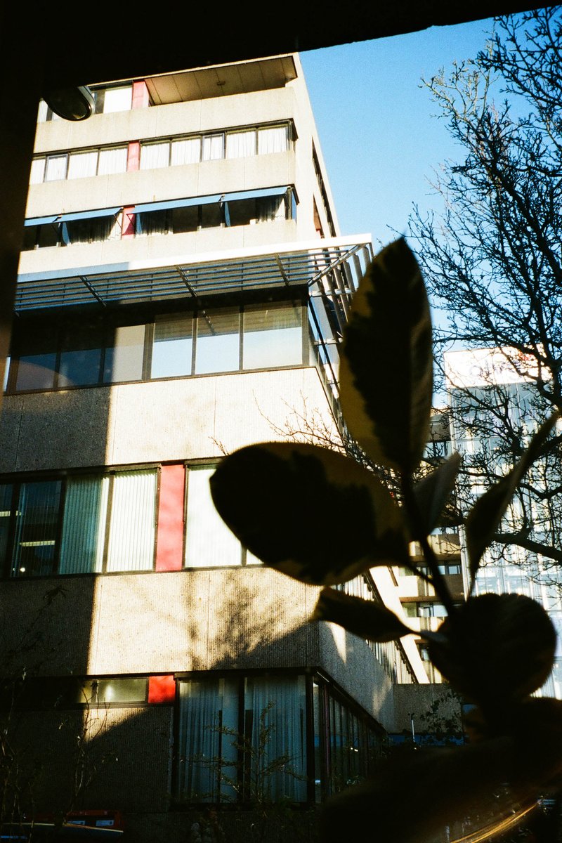 The image depicts an urban setting with a view of a three-story building featuring a red door. In the foreground, there's a potted plant placed on a windowsill, partially obscuring the view. The photo has a digital overlay effect, adding a blurry textured appearance to the entire scene.